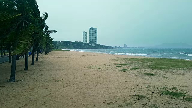 暴风雨在沙滩上吹着摇摆的椰子树视频素材