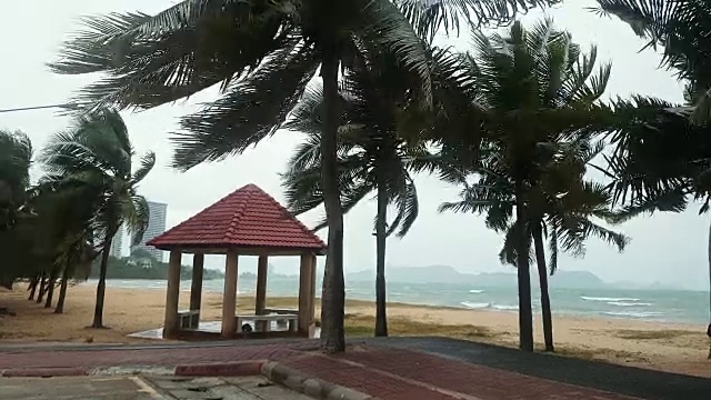 暴风雨在沙滩上吹着摇摆的椰子树视频素材