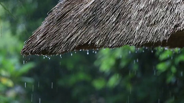 热带夏雨滴落在花园的稻草屋顶上。印尼巴厘岛视频素材