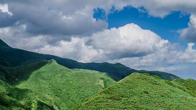 传神峰和茂树卡视频素材