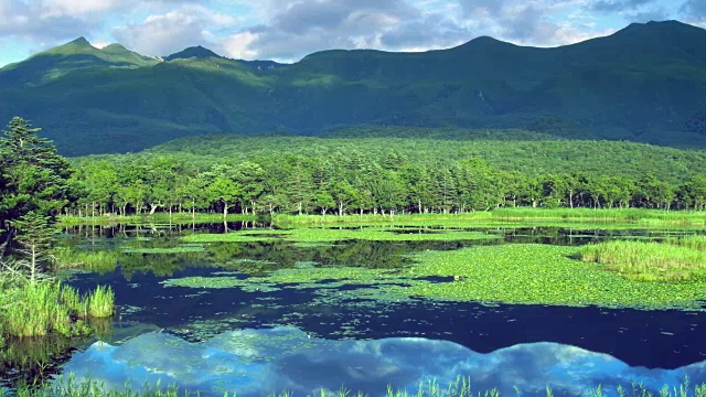 Shiretoko湖视频素材