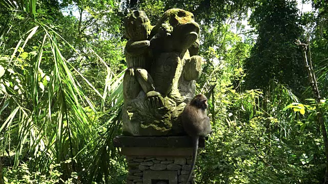 巴厘岛幽布猴林里的猕猴雕像视频素材