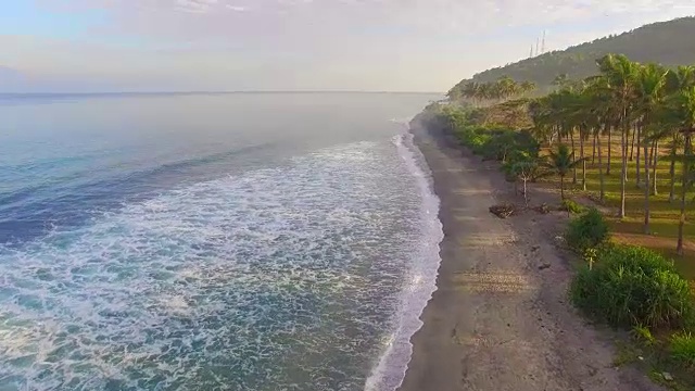 棕榈树和热带海滩视频下载