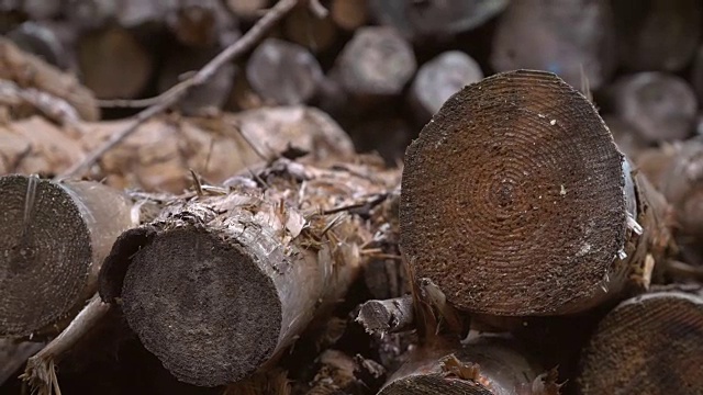 Woodpile专注于一根圆木的圆环视频下载