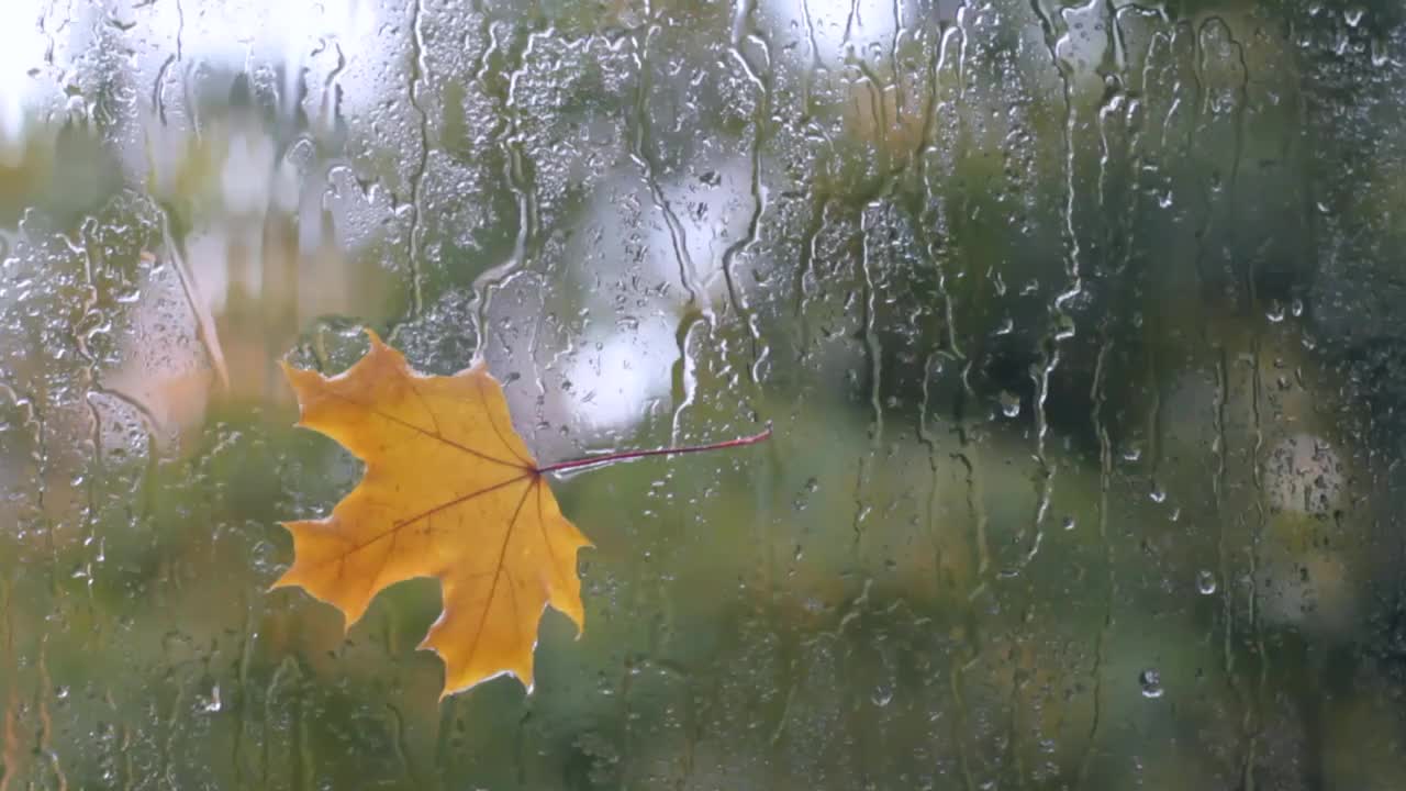 窗外秋雨霏霏视频下载