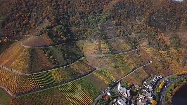 飞越秋天的布里姆葡萄园和德国摩泽尔河视频素材