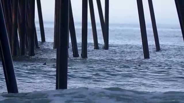 Pismo海滩码头视频素材