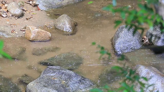 大自然中的雨滴和鱼，泰国北部的瀑布。视频素材