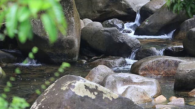 大自然中的雨滴和鱼，泰国北部的瀑布。视频素材