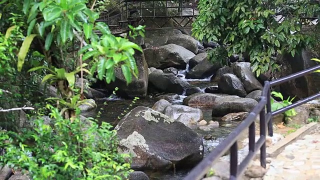 大自然中的雨滴和鱼，泰国北部的瀑布。视频素材