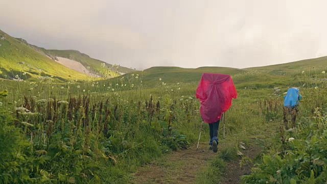 旅游者背包在绿色草甸山谷旅行视频素材