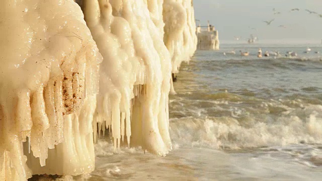 冬天的海视频下载