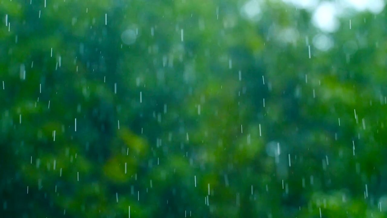 雨滴伴随着绿色的自然落下视频素材