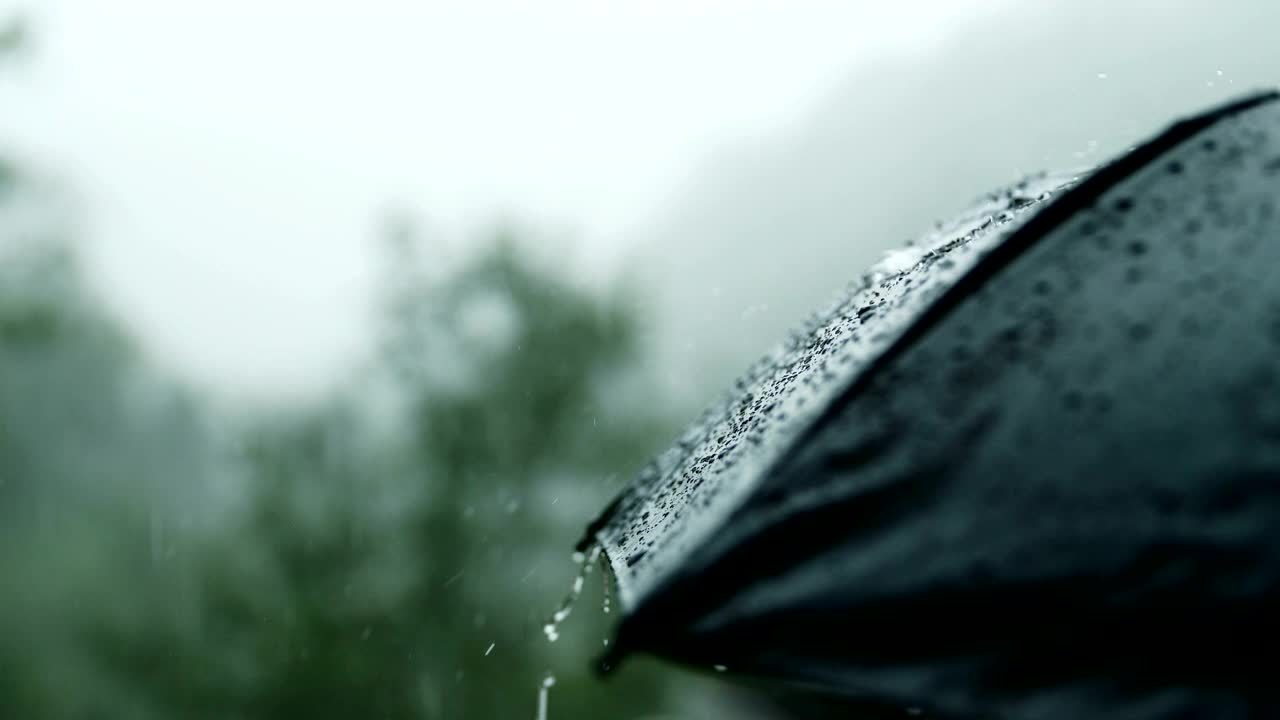 下雨时的特写伞视频素材