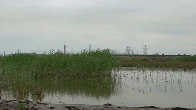 村庄周围的荒地和沼泽视频素材