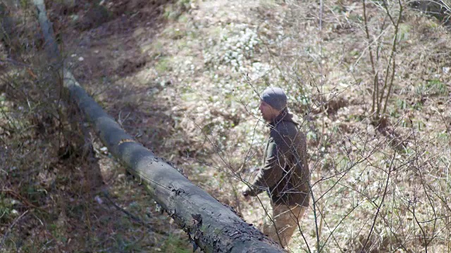 那人在森林里用斧子砍树，树挡住了路视频素材