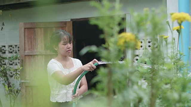 浇花的年轻女子。视频素材