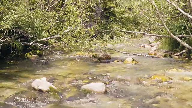 水在岩石河中流动。山河流水视频素材