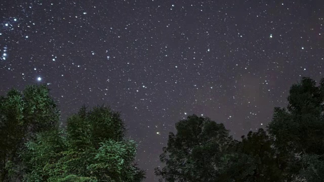 星星越过一棵树时间流逝视频素材