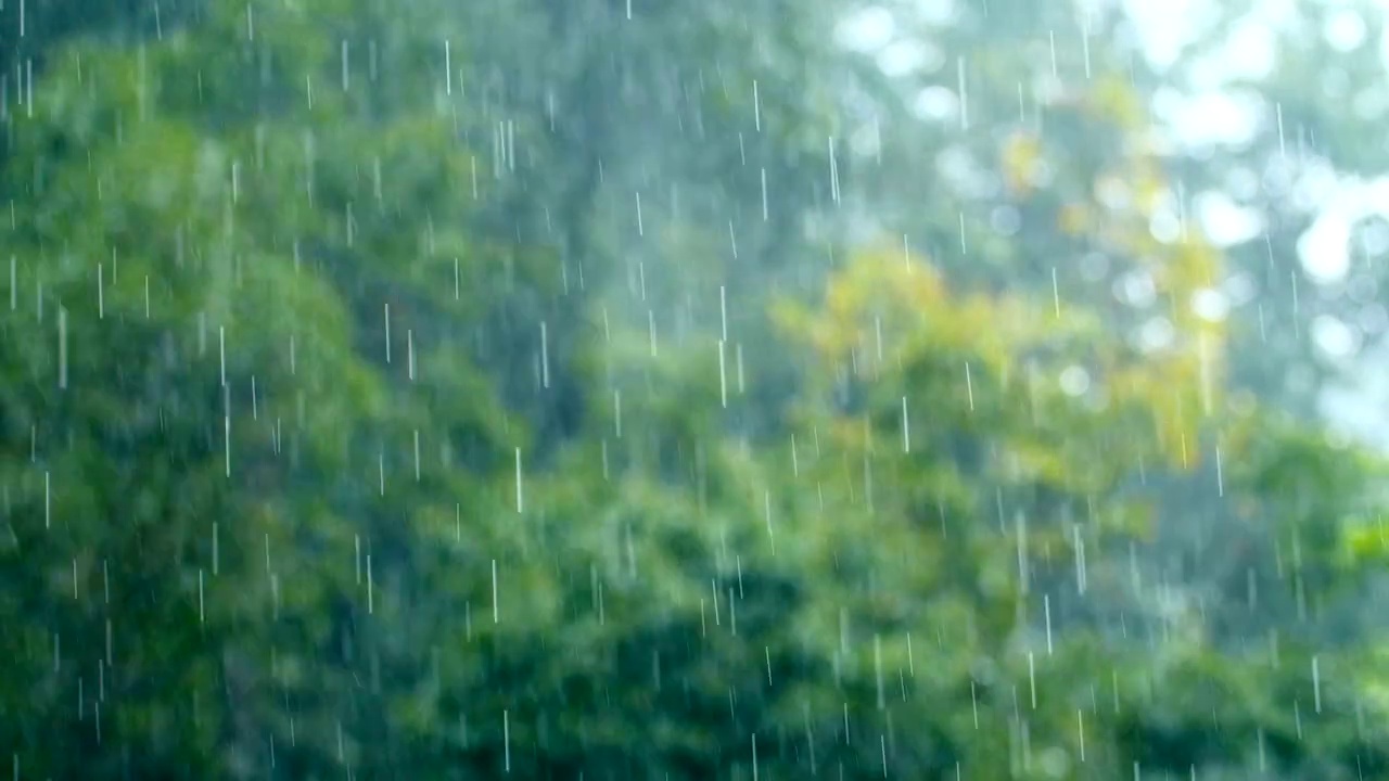 雨滴落下与自然模糊的背景视频素材