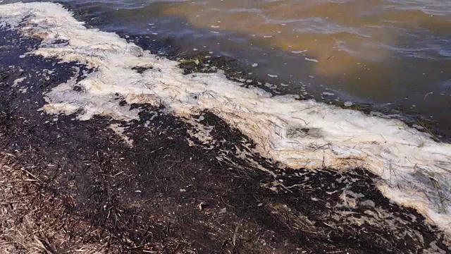 河流、海洋、湖泊、池塘的水污染视频素材