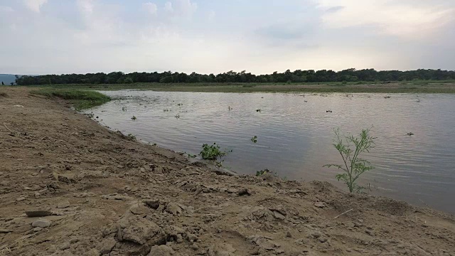 水葫芦经过Rapti河视频下载