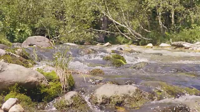 石质河流溪在山区森林。水流迅速地向近处流动视频素材