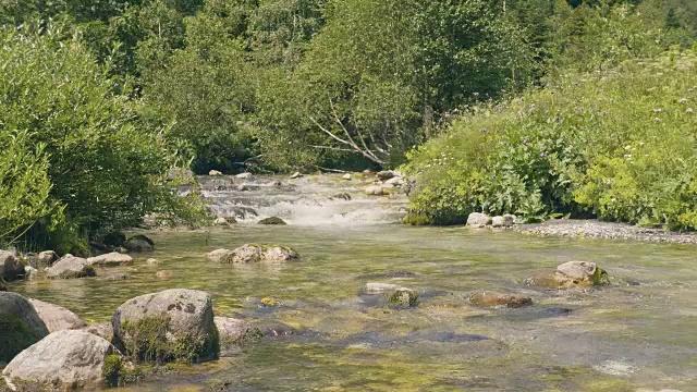 夏天的森林里，水流在石头间流动。美丽的大自然视频素材