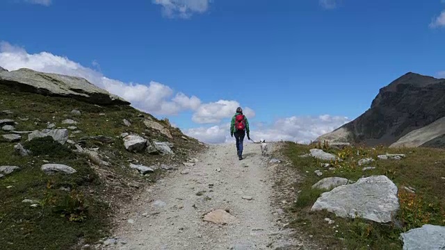 在瑞士恩加丁徒步旅行的女人和狗视频素材