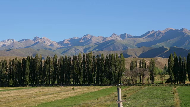 自然景观树木在绿色的田野和山在蓝天背景视频素材