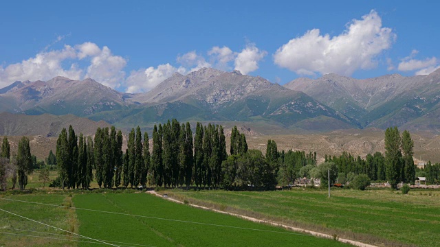 绿树在田野和汽车行驶在道路上的山脉景观时间推移视频素材