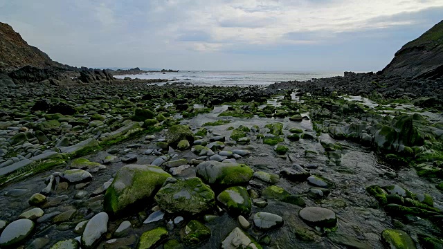 岩石海岸春天，达克池海滩，布德，北康沃尔，英格兰，英国，欧洲视频素材