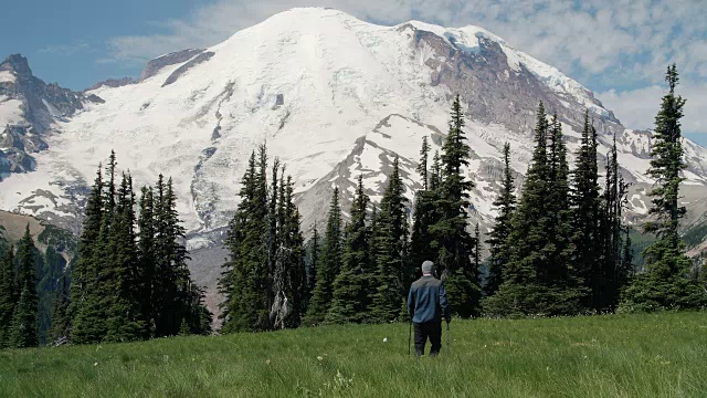 与波兰人一起探索雷尼尔山荒野的徒步旅行者视频素材