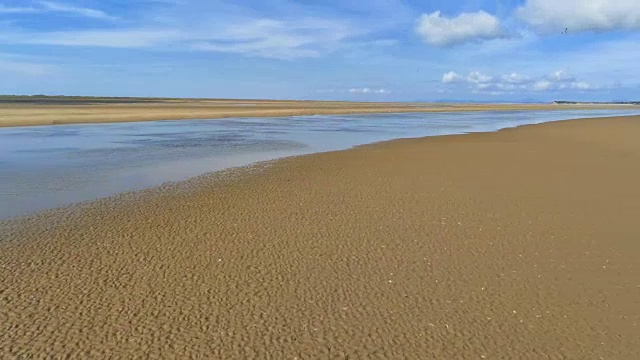 鸟瞰图，横向移动。无人机全景图低潮海和沙。一群鸟在镜头前飞翔视频素材