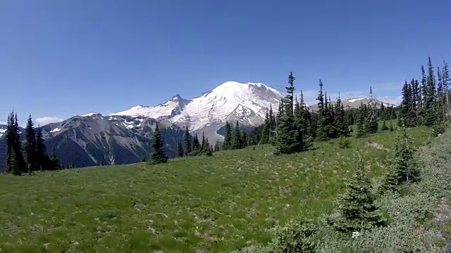 雷尼尔山国家公园车窗山景视频素材