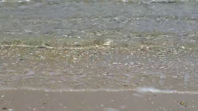 透明的海水流入沙滩，特写视频素材