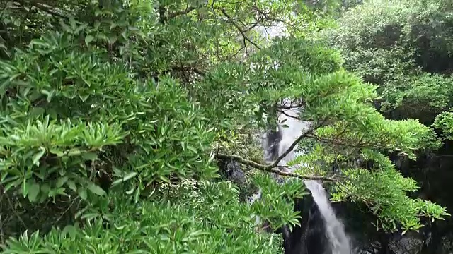 热带雨林山脉瀑布鸟瞰图视频素材