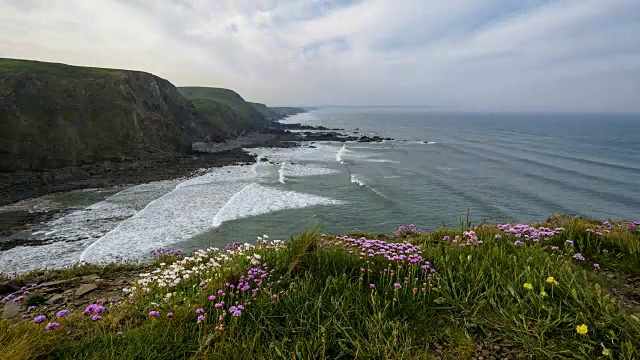 岩石海岸春天，达克池海滩，布德，北康沃尔，英格兰，英国，欧洲视频素材