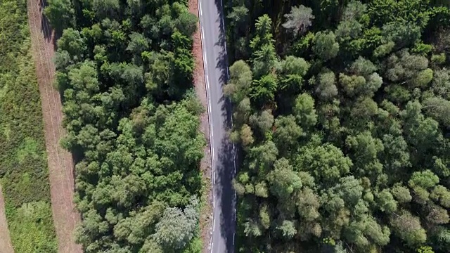 鸟眼航拍穿过森林的道路视频素材