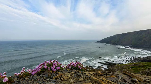 岩石海岸春天，达克池海滩，布德，北康沃尔，英格兰，英国，欧洲视频素材