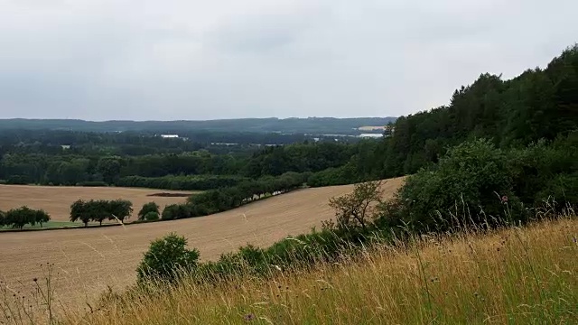 捷克共和国的田野和森林。农村景观。在夏天的时候田地。农业景观。视频素材