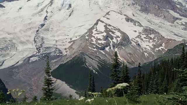 在阳光明媚的夏日，翻起巨大的雷尼尔山视频素材