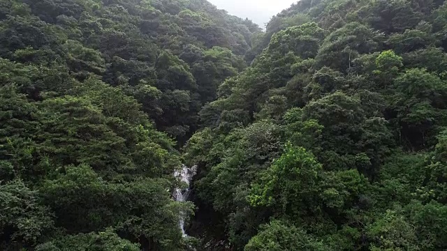 热带雨林山脉瀑布鸟瞰图视频素材