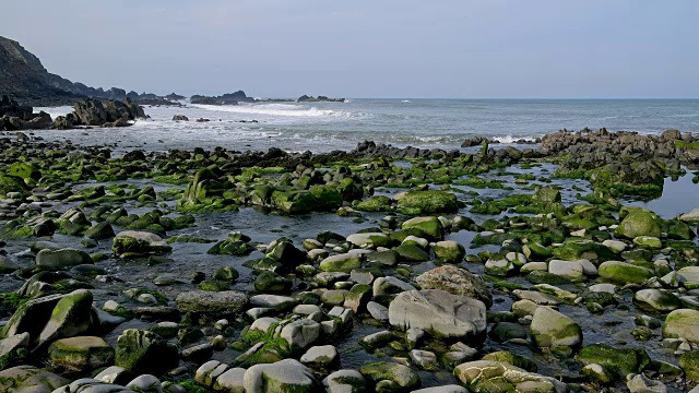 岩石海岸春天，达克池海滩，布德，北康沃尔，英格兰，英国，欧洲视频素材