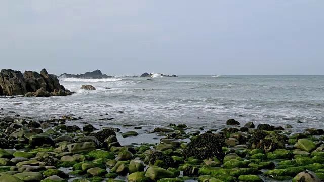 岩石海岸春天，达克池海滩，布德，北康沃尔，英格兰，英国，欧洲视频素材