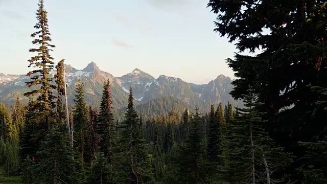 雷尼尔山国家公园的慢动作徒步旅行视角视频素材