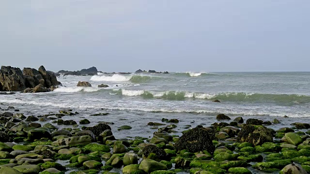 岩石海岸春天，达克池海滩，布德，北康沃尔，英格兰，英国，欧洲视频素材