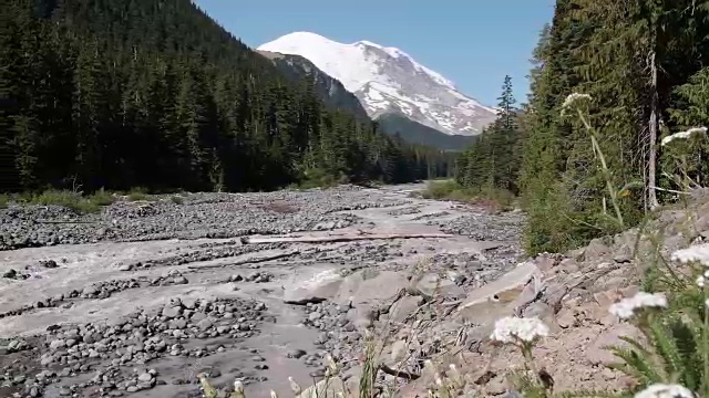 雷尼尔山国家公园的白河视频素材