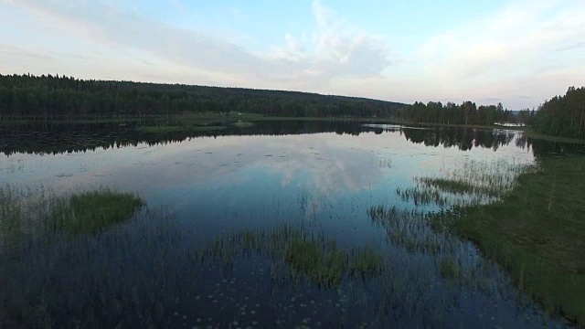 航拍飞过平静的沼泽湖。瑞典北部美丽的风景视频素材