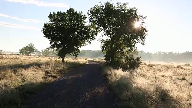 土路穿过美丽的风景视频素材